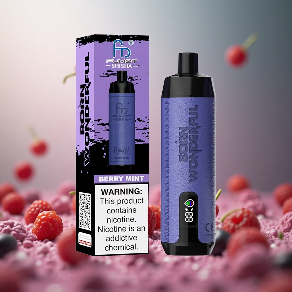 Berry Mint RandM Fumot Shisha 10000 Puffs 18ml Prefilled